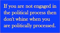 Political Process